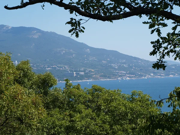 Mountain landscape view with trees and rocks — Stock Photo, Image