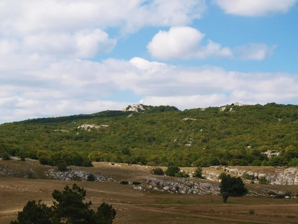 Вид на горы с деревьями и скалами — стоковое фото