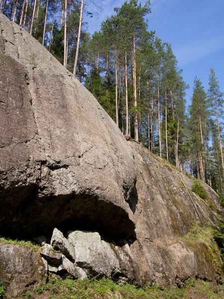 Fák, az ég és a rock — Stock Fotó