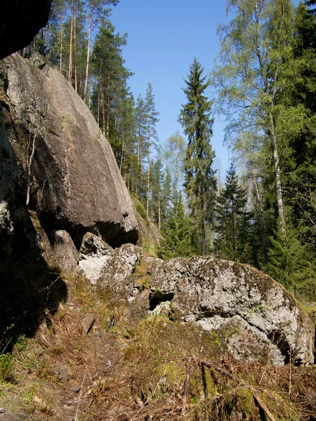 Stromy, oblohou a rock — Stock fotografie