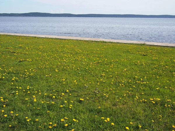 Jezioro, niebo i trawy. Petrozavodsk, Federacja Rosyjska, karelia — Zdjęcie stockowe