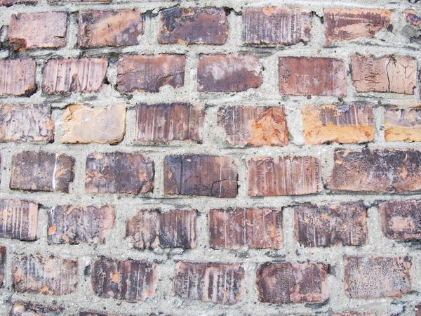 Brick wall — Stock Photo, Image