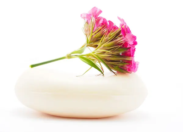 Carnation and soap on a white background — Stock Photo, Image