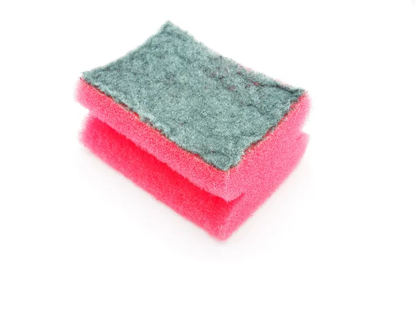 Sponge isolated on the white background — Stock Photo, Image