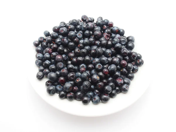 Blueberries — Stock Photo, Image