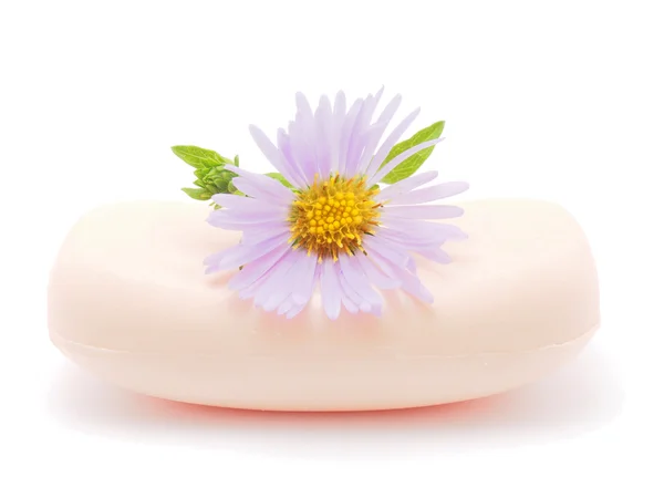 Perennial aster and soap on a white background — Stock Photo, Image