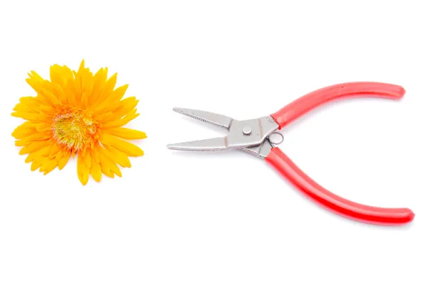Pliers and flower on white background — Stock Photo, Image