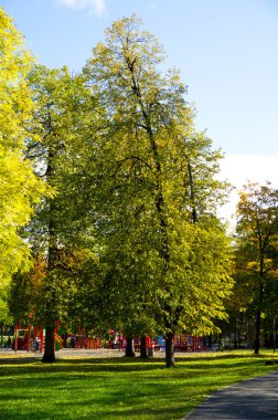 Sonbaharda park et.