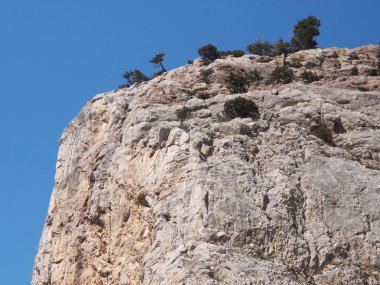 ağaçlar, gökyüzü ve kaya