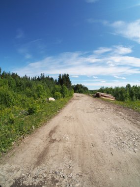orman yolu