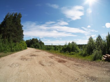 orman yolu