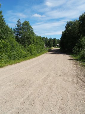 orman yolu