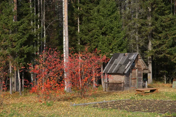 Trähus i byn — Stockfoto