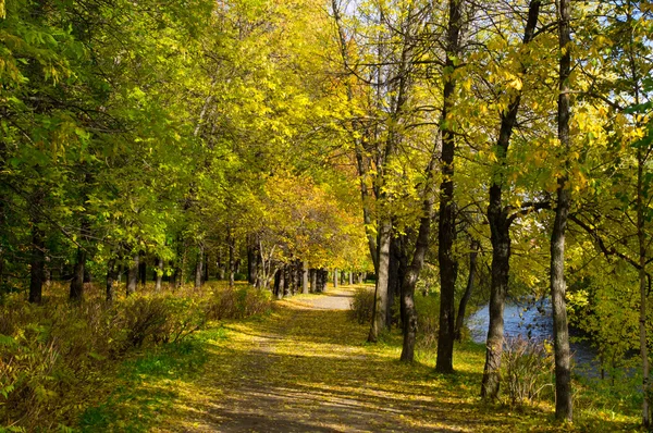 Park im Herbst — Stockfoto