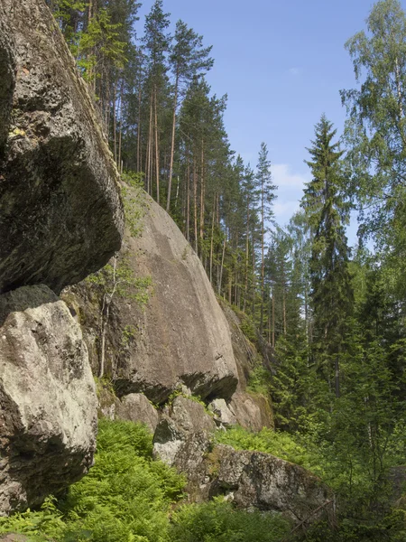 Дерева, небо і камінь — стокове фото