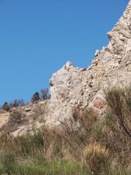 Träden, himlen och rock — Stockfoto