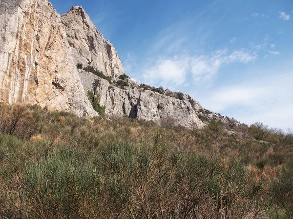 Alberi, cielo e roccia — Foto Stock