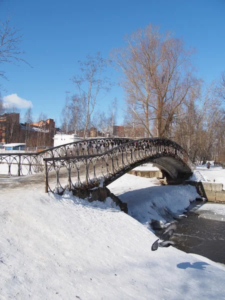 The bridge through the river in the winter — Stock Photo, Image