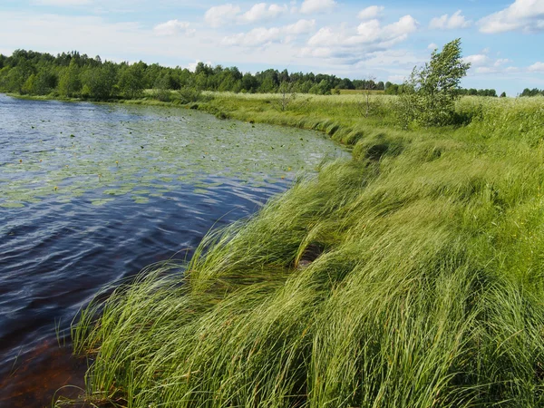 Lago in estate — Foto Stock