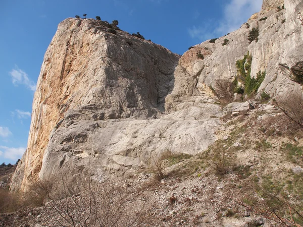 Árboles, cielo y roca — Foto de Stock