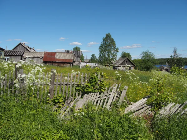 Village summer — Stock Photo, Image