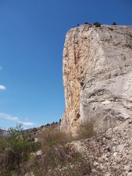 Träden, himlen och rock — Stockfoto