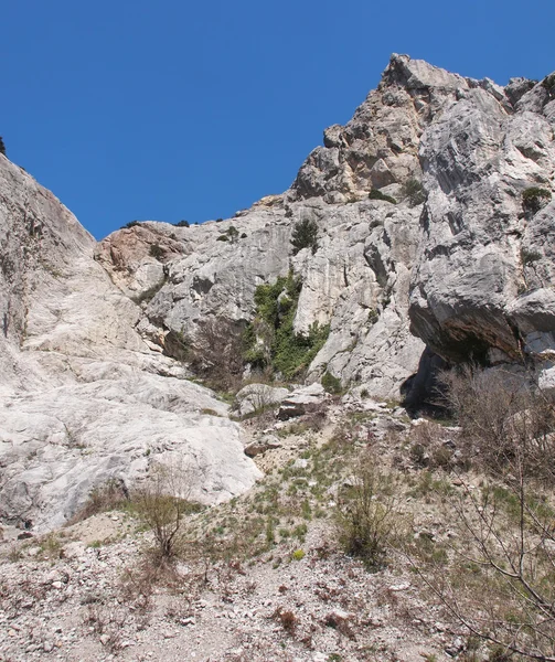 Arbres, ciel et rochers — Photo