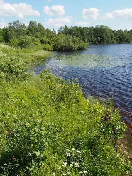 Meer in de zomer — Stockfoto