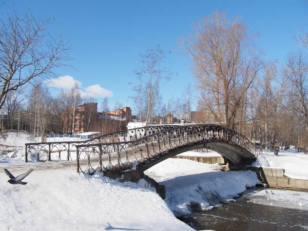 Il ponte attraverso il fiume in inverno — Foto Stock