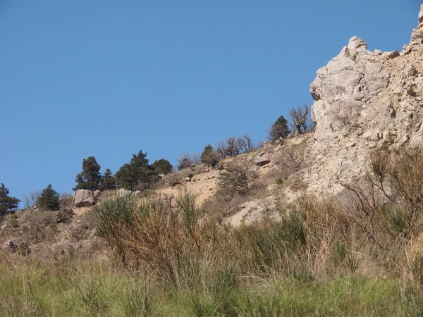 Träden, himlen och rock — Stockfoto