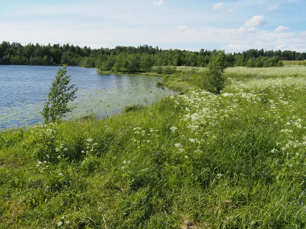 Sjö på sommaren — Stockfoto