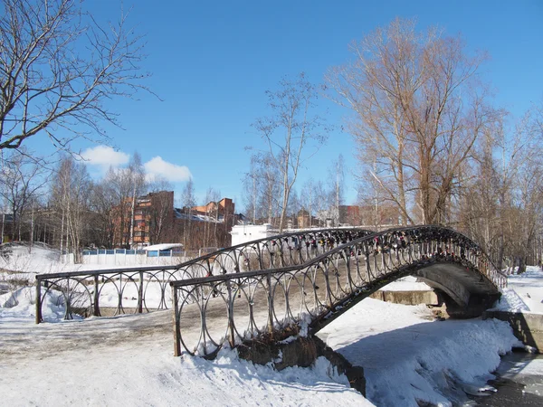 The bridge through the river in the winter — Stock Photo, Image