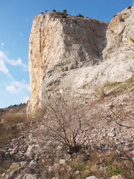 Arbres, ciel et rochers — Photo