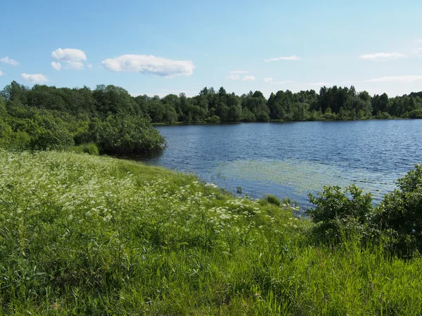 Lago en el verano — Foto de Stock