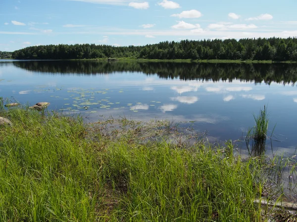 Bord de rivière — Photo