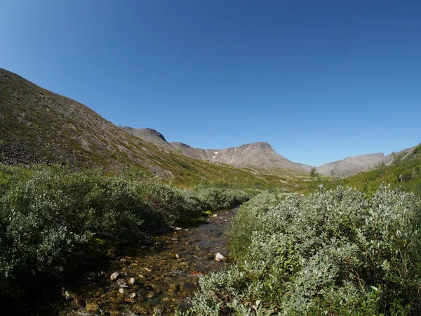 Fiume di montagna — Foto Stock