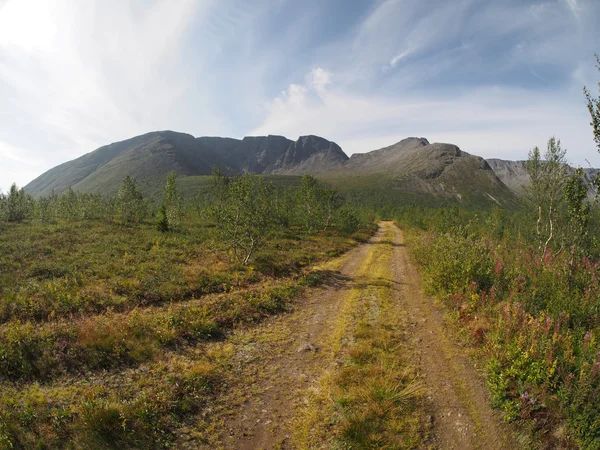 Road in the mountains — Stock Photo, Image