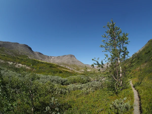 Chemin dans les montagnes — Photo