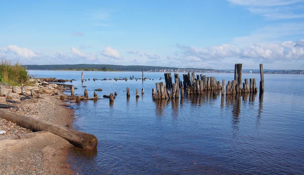 Vecchi mucchi nel lago — Foto Stock