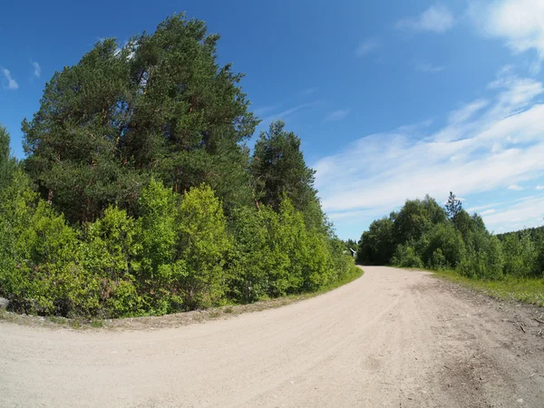 Forest road — Stock Photo, Image