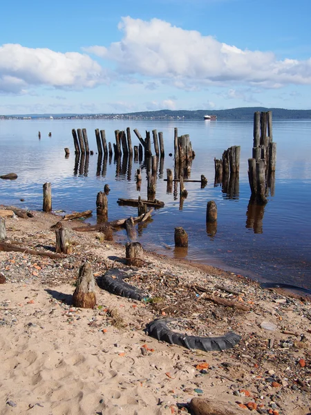 Old piles in the lake — Stock Photo, Image