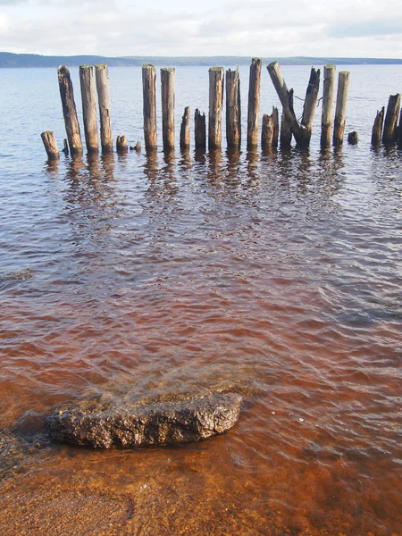 Old piles in the lake — Stock Photo, Image