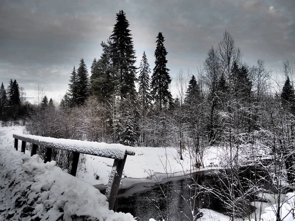 Fluss im Winter — Stockfoto