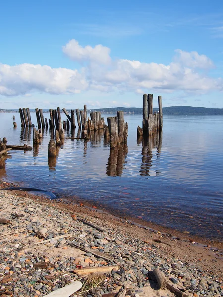 Old piles in the lake — Stock Photo, Image