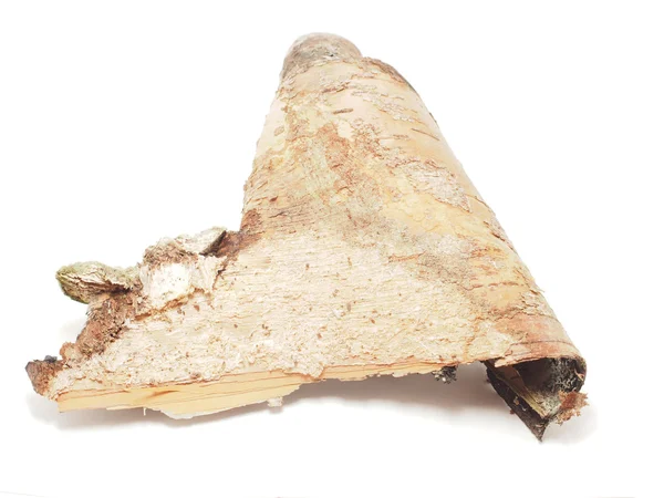 A piece of birch bark on a white background — Stock Photo, Image