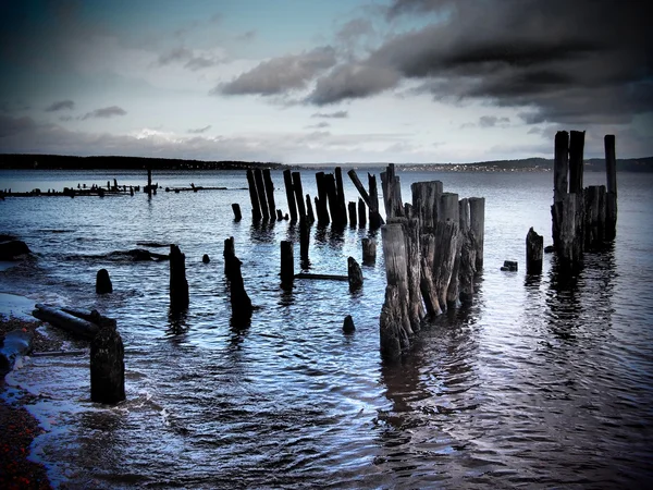 Pilhas velhas no lago — Fotografia de Stock