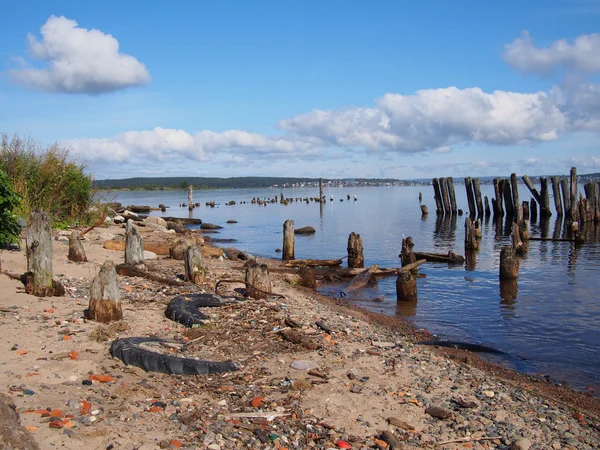 Vieux pieux dans le lac — Photo