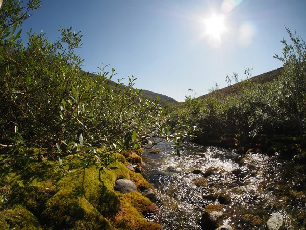 Río de montaña — Foto de Stock