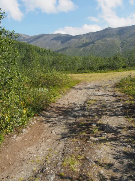 Dağlarda yol
