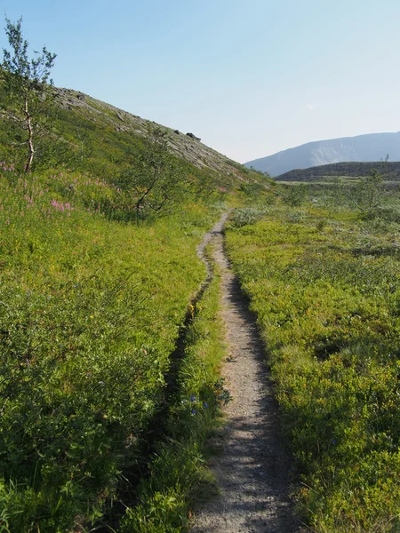 Vägen i bergen — Stockfoto